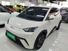 BYD Seagull Glory Edition 305km Freedom Version - ფოტო 1