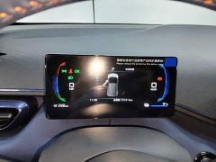 BYD Seagull Glory Edition 305km Freedom Version - ფოტო 11
