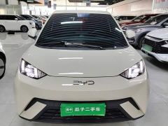 BYD Seagull Glory Edition 305km Freedom Version - ფოტო 2