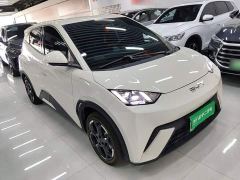 BYD Seagull Glory Edition 305km Freedom Version - ფოტო 3