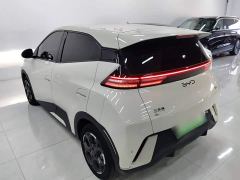BYD Seagull Glory Edition 305km Freedom Version - ფოტო 4
