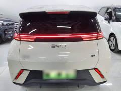 BYD Seagull Glory Edition 305km Freedom Version - ფოტო 5