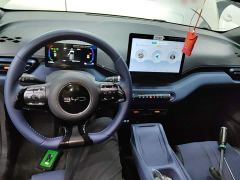 BYD Seagull Glory Edition 305km Freedom Version - ფოტო 9