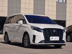 Buick GL8 ES Luxun Luxury Edition - фото 3