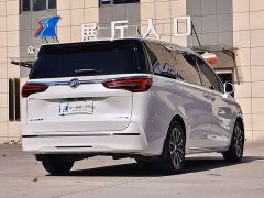 Buick GL8 ES Luxun Luxury Edition - фото 7