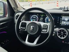 Tank 300 Off-Road Edition 2.0T Conqueror - ფოტო 19