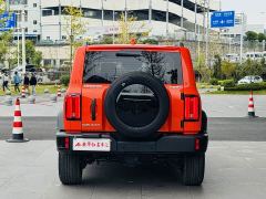 Tank 300 Off-Road Edition 2.0T Conqueror - ფოტო 5