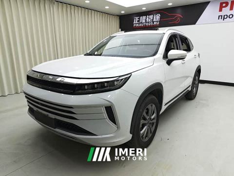 2023 Exeed Zhuifeng 1.5T CVT Good Fortune Peanut Edition