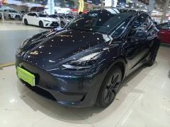 Tesla Model Y Rear-Wheel Drive - ფოტო 1