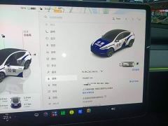 Tesla Model Y Rear-Wheel Drive - ფოტო 11