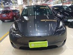 Tesla Model Y Rear-Wheel Drive - ფოტო 2