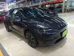 Tesla Model Y Rear-Wheel Drive - ფოტო 3