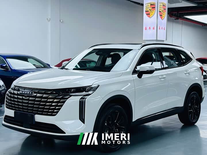 Haval H6 2.0T Two-Wheel Drive Max