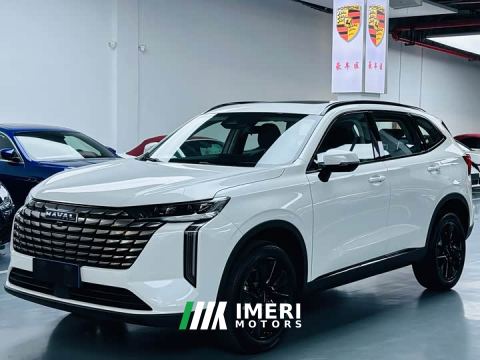 2024 Haval H6 2.0T Two-Wheel Drive Max - car from China