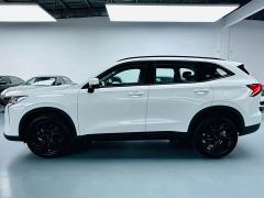 Haval H6 2.0T Two-Wheel Drive Max - ფოტო 12