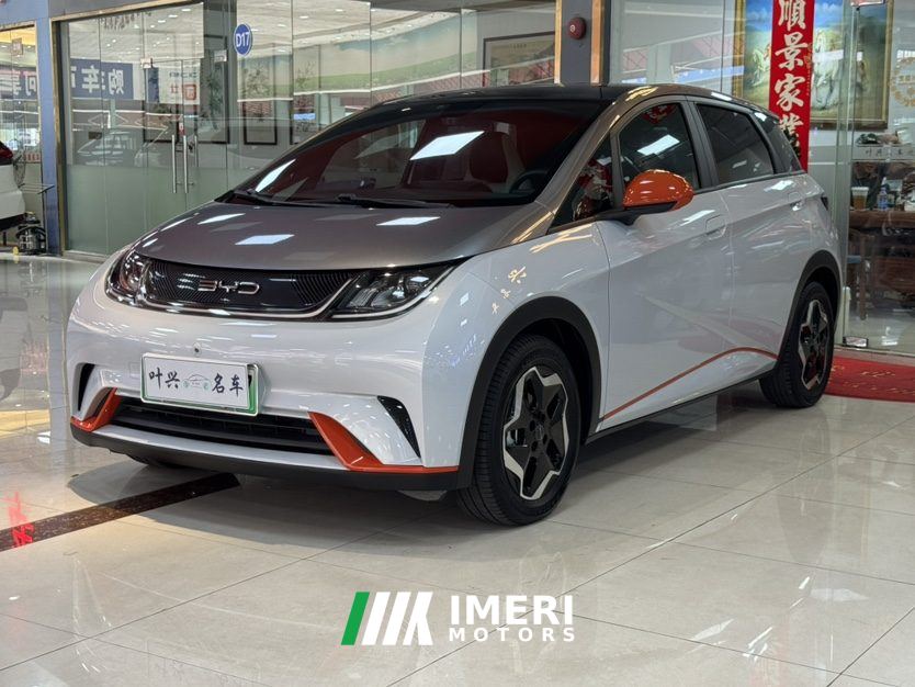 BYD Dolphin 405km Stylish Edition - ავტომობილი ჩინეთიდან