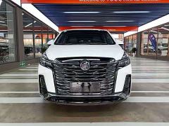 Buick GL8 Land Business Class Comfort Edition - ფოტო 2