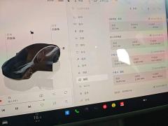 Tesla Model 3 Rear-Wheel Drive - ფოტო 11