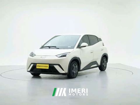 2024 BYD Seagull Glory Edition 305km Vitality Version - ავტომობილი ჩინეთიდან