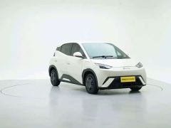 BYD Seagull Glory Edition 305km Vitality Version - photo 3