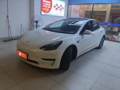 Tesla Model 3 556km Rear-Wheel Drive Edition - фото 1