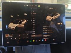 Tesla Model 3 556km Rear-Wheel Drive Edition - фото 4