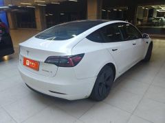 Tesla Model 3 556km Rear-Wheel Drive Edition - фото 5