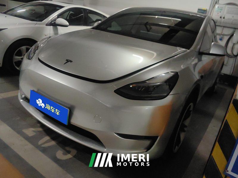 Tesla Model Y Standard endurance rear-wheel drive