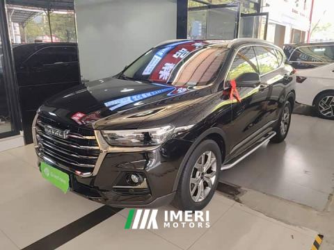 2022 Haval H6 National Trend 1.5T Automatic Champion Edition - автомобиль из Китая
