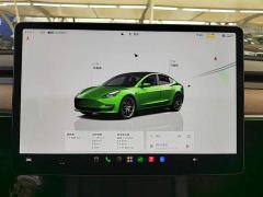 Tesla Model 3 Performance All-Wheel Drive - фото 11