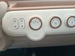 Bestune Besturn Xiaoma 222km Agile Edition - photo 13