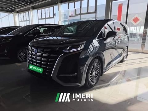 2023 Denza D9 DM-i 970 AWD Premium Edition - автомобиль из Китая