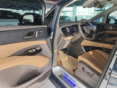 Denza D9 DM-i 970 AWD Premium Edition - ფოტო 15