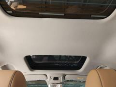 Denza D9 DM-i 970 AWD Premium Edition - ფოტო 17
