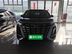 Denza D9 DM-i 970 AWD Premium Edition - ფოტო 2