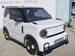 Geely Panda 210km Panda Kart - ფოტო 4