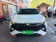 Chery Kunlun 300 Horizon Edition - фото 2