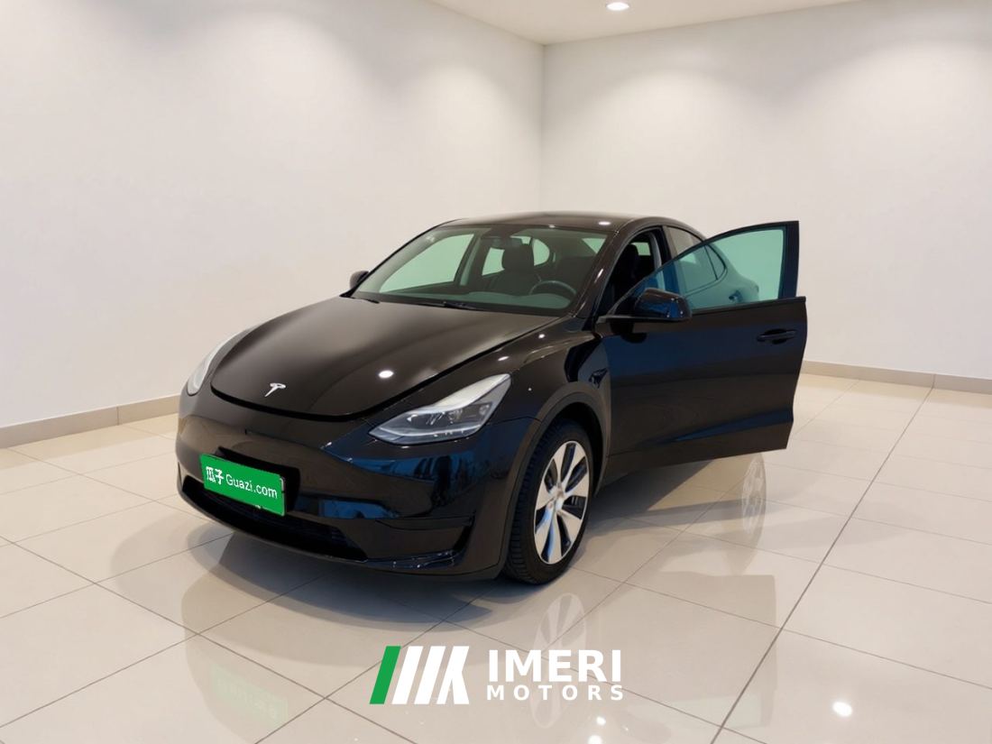Tesla Model Y Facelift 545km Rear-Wheel Drive Edition - ავტომობილი ჩინეთიდან