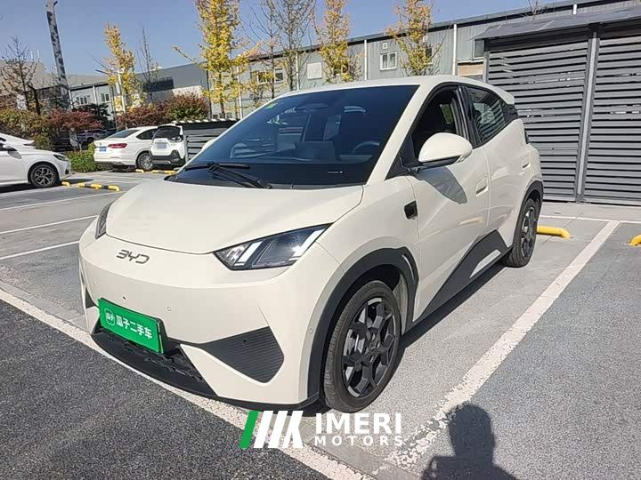 BYD Seagull Smart Driving Edition 305km Freedom Edition