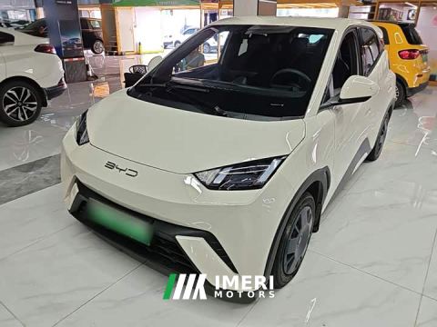 2024 BYD Seagull 305km Vitality Edition - ავტომობილი ჩინეთიდან