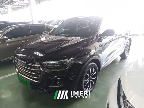 2022 Haval H6 National Trend Edition 1.5T Automatic Urban Version
