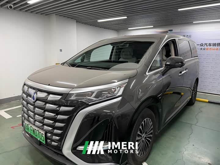 Denza D9 DM-i 970 AWD Flagship