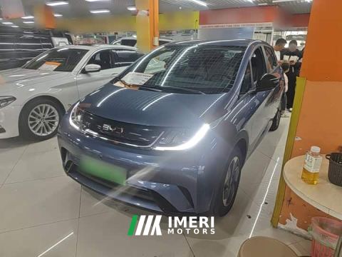 2026 BYD Dolphin 420km Freedom Edition