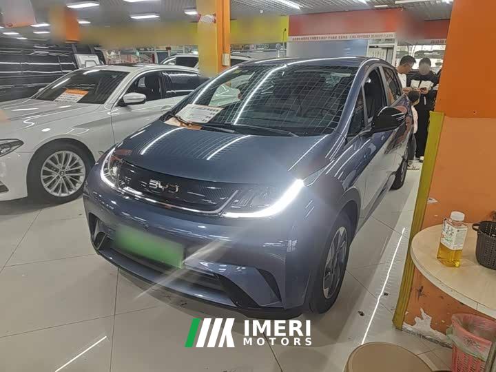 BYD Dolphin 420km Freedom Edition