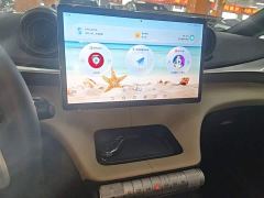 BYD Dolphin 420km Freedom Edition - ფოტო 12