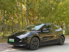 Tesla Model Y Rear-Wheel Drive - ფოტო 1