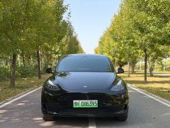 Tesla Model Y Rear-Wheel Drive - ფოტო 2