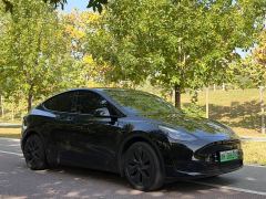 Tesla Model Y Rear-Wheel Drive - ფოტო 3