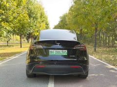 Tesla Model Y Rear-Wheel Drive - ფოტო 8