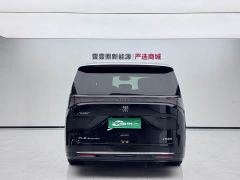 Buick Zhijing Shijia Luxury Edition - фото 9